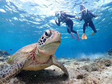 宮古島マリンショップSmileyに投稿された画像（2025/11/10）