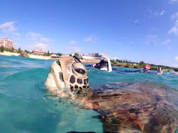 宮古島マリンショップSmileyに投稿された画像（2025/11/10）