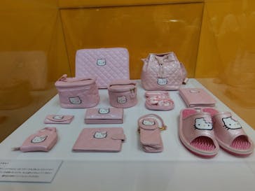 Hello Kitty展 -わたしが変わるとキティも変わる-に投稿された画像（2025/11/11）