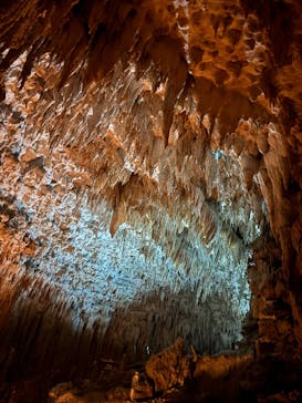 おきなわワールドに投稿された画像（2025/11/11）