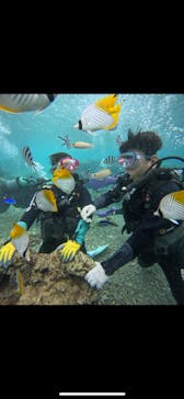 武藤潜水に投稿された画像（2025/11/11）