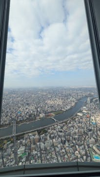 東京スカイツリーに投稿された画像（2025/11/11）