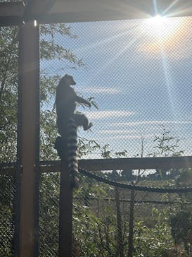 東武動物公園に投稿された画像（2025/11/11）