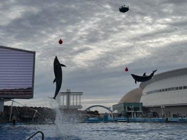 名古屋港水族館に投稿された画像（2025/11/11）