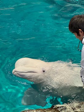 名古屋港水族館に投稿された画像（2025/11/11）