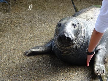 大分マリーンパレス水族館 「うみたまご」に投稿された画像（2025/11/11）