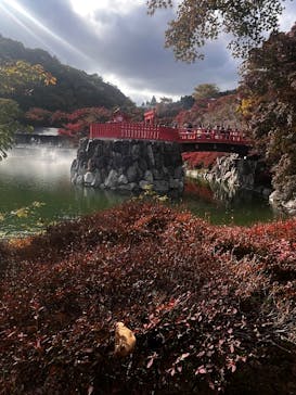 勝尾寺に投稿された画像（2025/11/11）