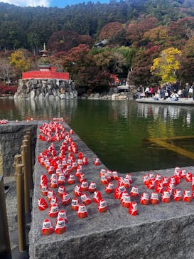 勝尾寺に投稿された画像（2025/11/11）