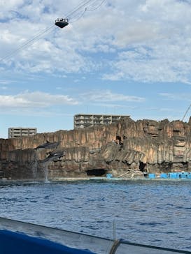 名古屋港水族館に投稿された画像（2025/11/11）