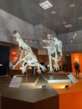特別展「大絶滅展―生命史のビッグファイブ」に投稿された画像（2025/11/11）