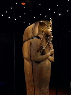 ACN ラムセス大王展 ファラオたちの黄金に投稿された画像（2025/11/11）