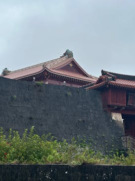 首里城公園 有料区域に投稿された画像（2025/11/11）