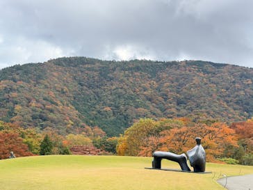 彫刻の森美術館に投稿された画像（2025/11/11）