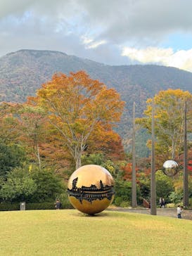 彫刻の森美術館に投稿された画像（2025/11/11）