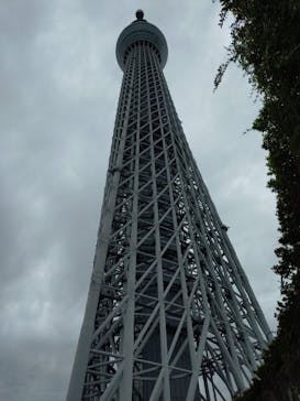 東京スカイツリーに投稿された画像（2025/11/11）