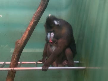 千葉市動物公園に投稿された画像（2025/11/11）