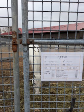 ノーザンホースパークに投稿された画像（2025/11/11）