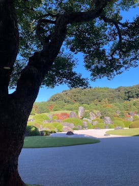 足立美術館に投稿された画像（2025/11/11）