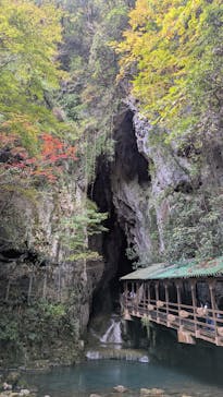 秋芳洞に投稿された画像（2025/11/11）