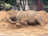 恩賜上野動物園に投稿された画像（2025/11/11）