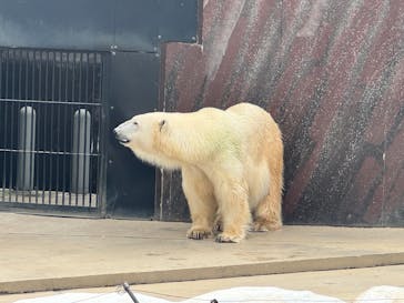 恩賜上野動物園に投稿された画像（2025/11/11）