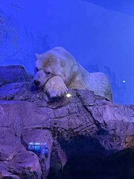 横浜・八景島シーパラダイスに投稿された画像（2025/11/11）