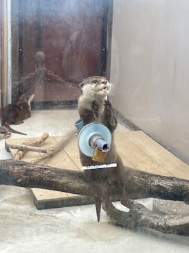 横浜・八景島シーパラダイスに投稿された画像（2025/11/11）