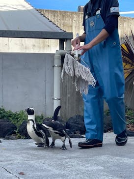 横浜・八景島シーパラダイスに投稿された画像（2025/11/11）