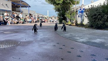 横浜・八景島シーパラダイスに投稿された画像（2025/11/11）