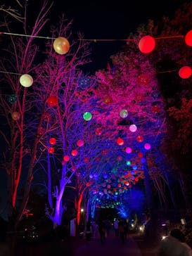 ムーミンバレーパークに投稿された画像（2025/11/11）