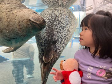 京都水族館に投稿された画像（2025/11/11）