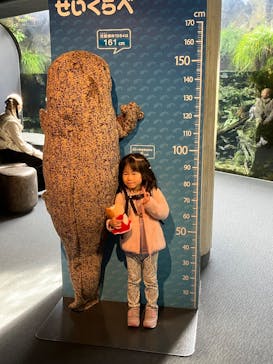 京都水族館に投稿された画像（2025/11/11）