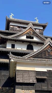 アーバンご縁トラベルに投稿された画像（2025/11/11）