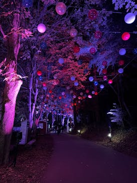 ムーミンバレーパークに投稿された画像（2025/11/11）