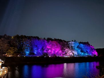 ムーミンバレーパークに投稿された画像（2025/11/11）