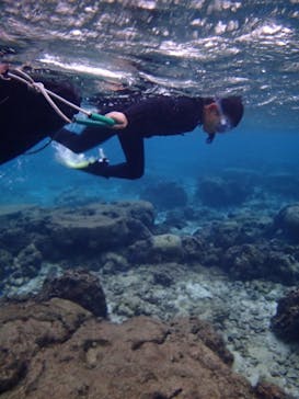 沖縄ネイチャーコーディネート・アンダゴに投稿された画像（2025/11/11）