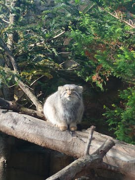 那須どうぶつ王国に投稿された画像（2025/11/11）