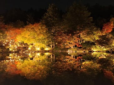 国営昭和記念公園 秋の夜散歩に投稿された画像（2025/11/11）