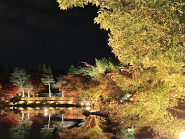国営昭和記念公園 秋の夜散歩に投稿された画像（2025/11/11）