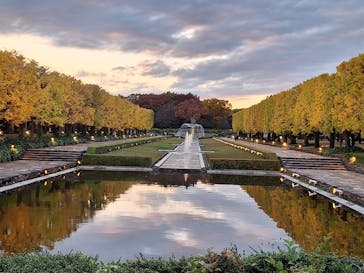 国営昭和記念公園 秋の夜散歩に投稿された画像（2025/11/11）