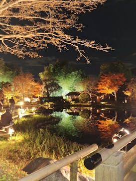 国営昭和記念公園 秋の夜散歩に投稿された画像（2025/11/11）