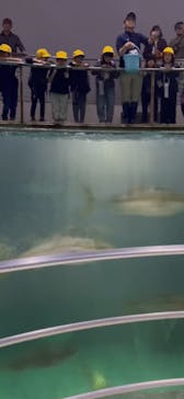 城崎マリンワールドに投稿された画像（2025/11/11）