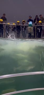 城崎マリンワールドに投稿された画像（2025/11/11）