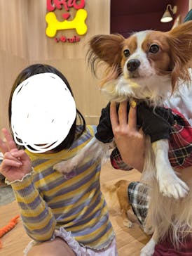 いぬカフェRio 浅草店に投稿された画像（2025/11/11）