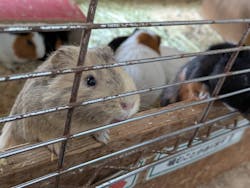 牧歌の里に投稿された画像（2025/11/11）