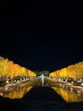 国営昭和記念公園 秋の夜散歩に投稿された画像（2025/11/12）
