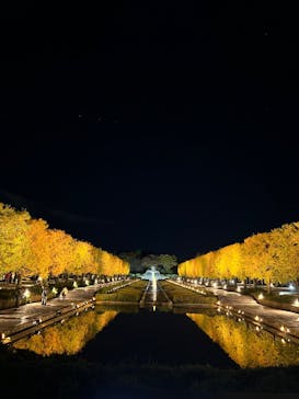 国営昭和記念公園 秋の夜散歩に投稿された画像（2025/11/11）