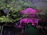 ZEN NIGHT WALK KAMAKURAに投稿された画像（2025/11/12）