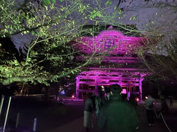 ZEN NIGHT WALK KAMAKURAに投稿された画像（2025/11/11）