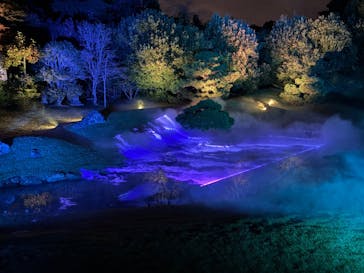 ZEN NIGHT WALK KAMAKURAに投稿された画像（2025/11/11）